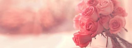 Best Flower Roses Facebook Covers